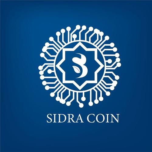 sidra coins 11.jpg